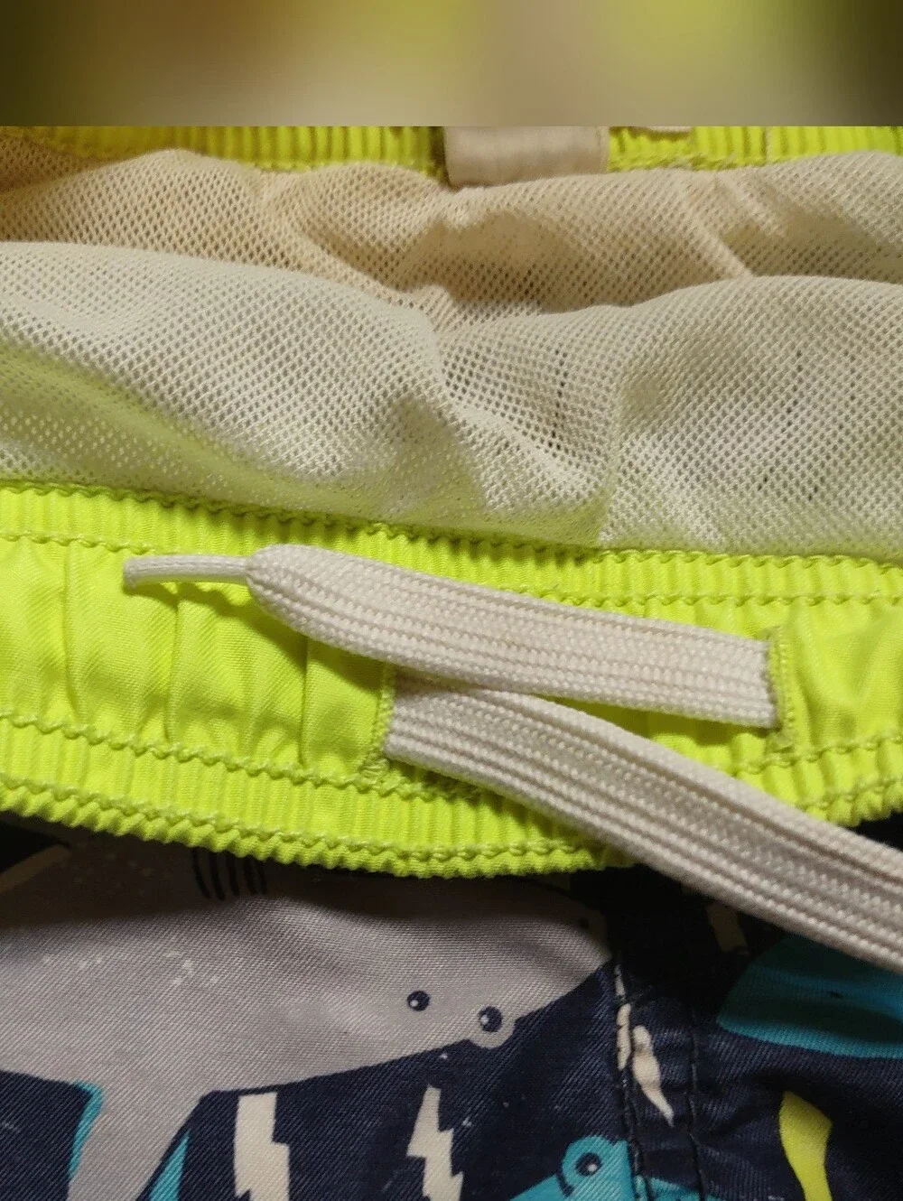 1989 Place Shark Swim Shorts